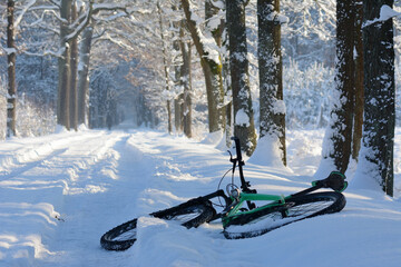 Zimowa droga w lesie z rowerem w śniegu - obrazy, fototapety, plakaty