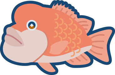 かわいいコブダイのイラスト