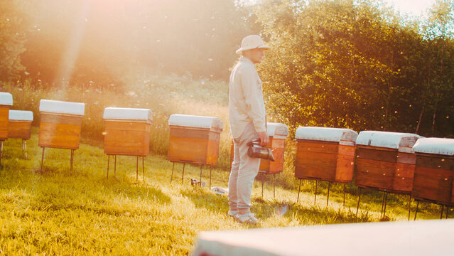 Side-view portrait of skillful professional man working as beekeeper standing in centre of apiary using bee smoker looking at beehives. Beautiful dedicated beekeeper enjoying job.