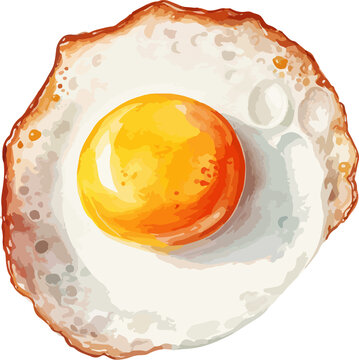 Fried egg clipart design illustration