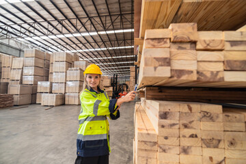 Fototapeta premium Woodworkers review blueprint, choose eco-friendly material, follow scheme for high quality assembly