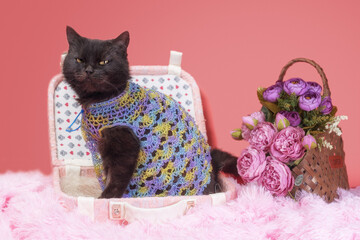 black cat on a pink background with flowers and a suitcase