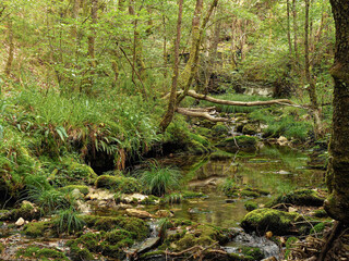 Fototapeta premium Decomposing fishing boat on an estuary off the Galician coast bathed by the Atlantic Ocean.