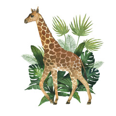 Fototapeta premium Watercolor illustration of giraffe in the bushes of tropical plants. Hand drawn, isolated. Suitable for decorating a children's room design