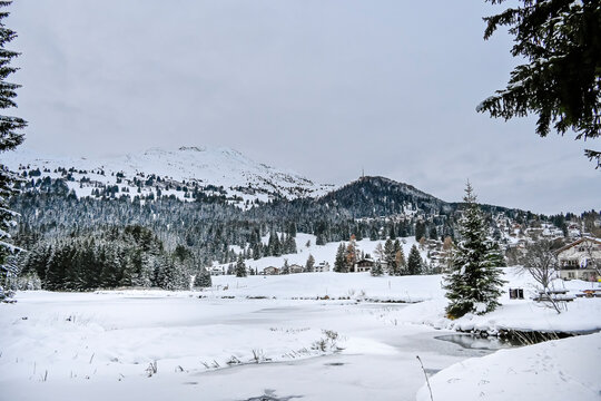 Lenzerheide, Valbella, Heidsee, Bergsee, Uferweg, Wanderweg, Winterwanderung, Langlauf, Loipe, Winterlandschaft, Seeufer, Alpen, Wald, Tannen, Eis, Winter, Graub&uuml;nden, Schweiz
