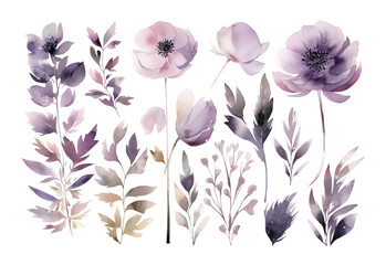 Watercolor floral clipart set, loose watercolor, flowers, plants and leaves. Generative AI. Isolated on transparent background.