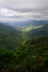 Black River Gorge Viewpoint with Lush Green Rainforest Valley in Mauritius