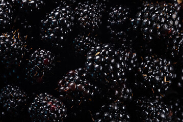 Lot of shiny fresh ripe blackberries.