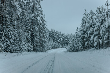 A Wintry Path Through a Chilly Forest with Snow Covered Trees. Winter road through snowy forest, tree lined and cold temperature.