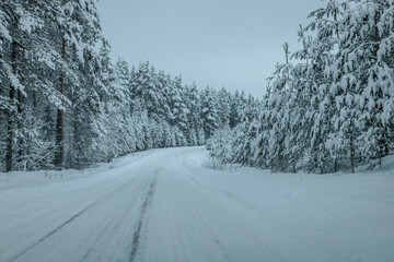 Fototapeta premium A Wintry Path Through a Chilly Forest with Snow Covered Trees. Winter road through snowy forest, tree lined and cold temperature.