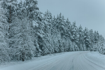 A Wintry Path Through a Chilly Forest with Snow Covered Trees. Winter road through snowy forest, tree lined and cold temperature.