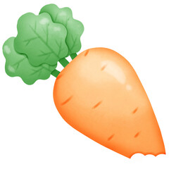 Carrot is bitten