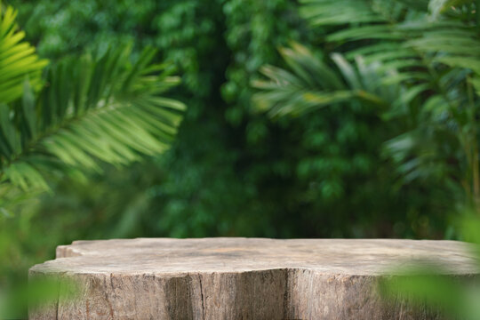 Wood tabletop counter podium floor in outdoors tropical garden forest blurred green palm leaf plant nature background.Natural product placement pedestal stand display,summer jungle paradise concept.