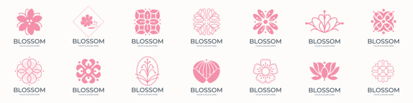 Floral blossom logo and icon set. Abstract beauty flower logo design collection. Pink flowers on white background