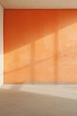 Simple room, persimmon color Wall, concrete Floor