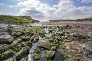 Mossy rocks on Broad Haven beach South Pembrokeshire