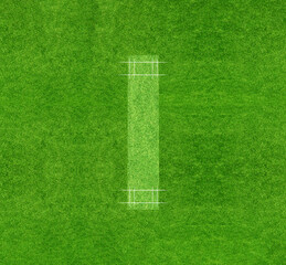 A cricket pitch direct top view of the layout with the grass cricket field. The pitch is inside the field. © Belal