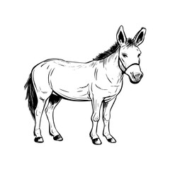 Donkey standing, Basic simple Minimalist vector graphic, isolated on white background, black and white
