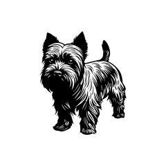 West Highland White Terrier, dog jump and happy, vector illustration, black color, vector image
