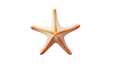 Serenity Waves with Starfish On transparent background