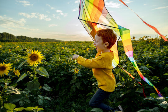 Cheerful boy holding kite and running in sunflower field
