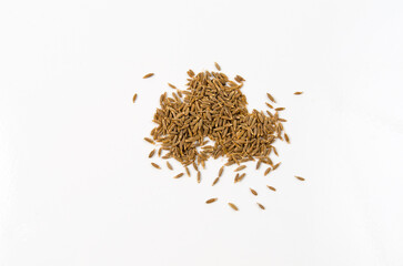 caraway in white background