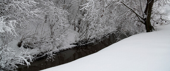 snow covered trees and rivulet