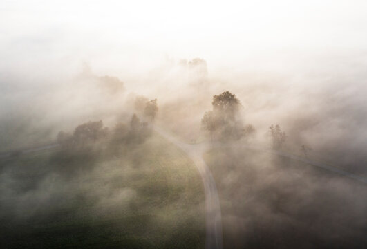 Austria, Upper Austria, Country road shrouded in thick morning fog
