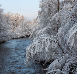 Snow-covered trees on the shore of fast flowing river in winter