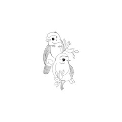 Hand drawn bird couple vector