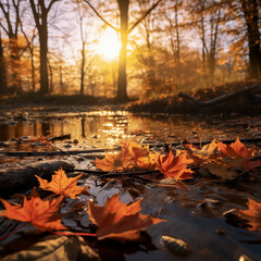 Obraz premium autumn leaves on the river