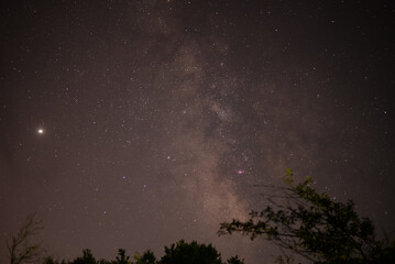 The milky way galaxy observed from a dark place in the middle of the wild forest. Planet Jupiter...
