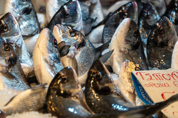 At the market in Athens