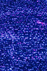 後楽園のクリスマスのキラキラオーナメント