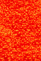 後楽園のクリスマスのキラキラオーナメント