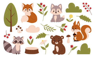 Vector forest illustrations. Set of animals and plants