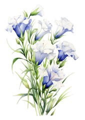 watercolor illustration lisianthus bouquet, isolated on white background