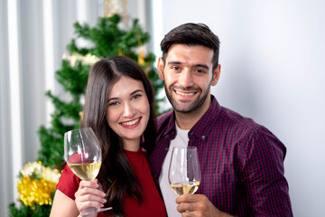 Young couple drinking wine celebrating on New Year's Day Christmas dinner at home