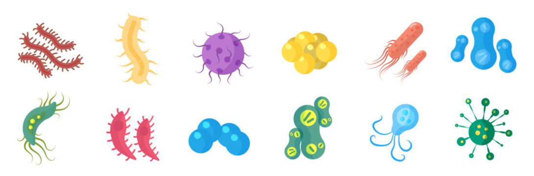 Bacteria and germs colorful set, micro-organisms disease-causing objects, different types, bacteria, viruses, fungi, protozoa. Vector flat microbe. Bactery cell cancer germ, viruses, fungi, probiotic.