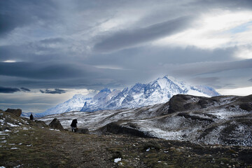 Torres del Paine National Park landscape, Patagonia, Chile.