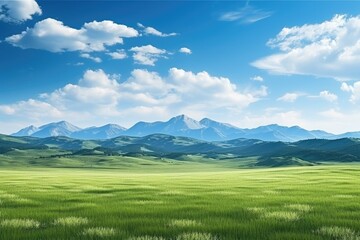 A green field with mountains in the background