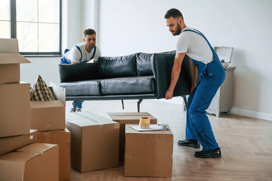 Holding heavy sofa. Two moving service employees in a room