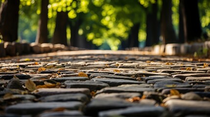 Footpath Park, HD, Background Wallpaper, Desktop Wallpaper