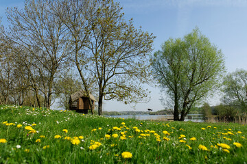 Fototapeta premium Etang Chabaud Latour..Condé sur l'Escaut..