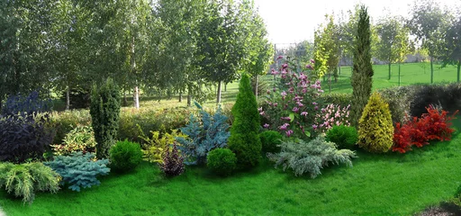 Rolgordijnen Example of backyard decorating and grouping plants, 3D render © Kostiantyn