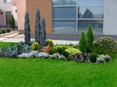 Example of backyard decorating and grouping plants, 3D render