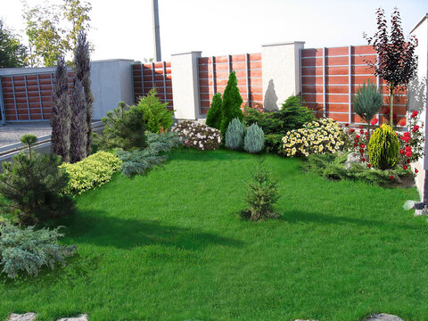 Example of backyard decorating and grouping plants, 3D render