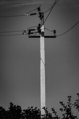 Concrete pole of the 0.4 kilovolt electrical network black and white photo