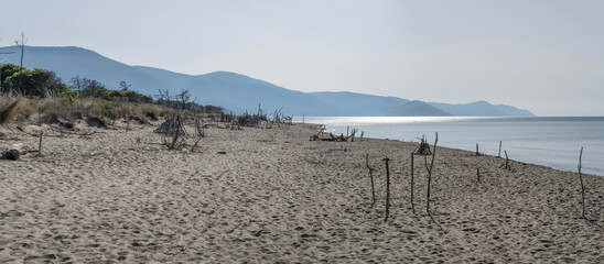 Fototapeta na wymiar sandy beach on Mediterranean shore, Marina di Alberese, Italy