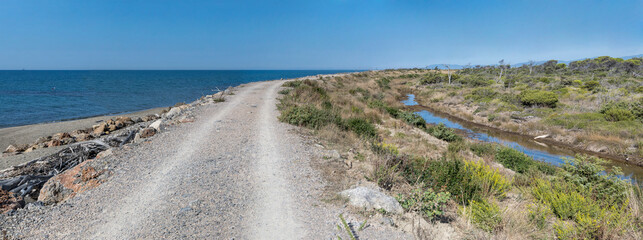 sea dam and ditch with Mediterranean scrub at bog on shore, Marina di Alberese, Italy